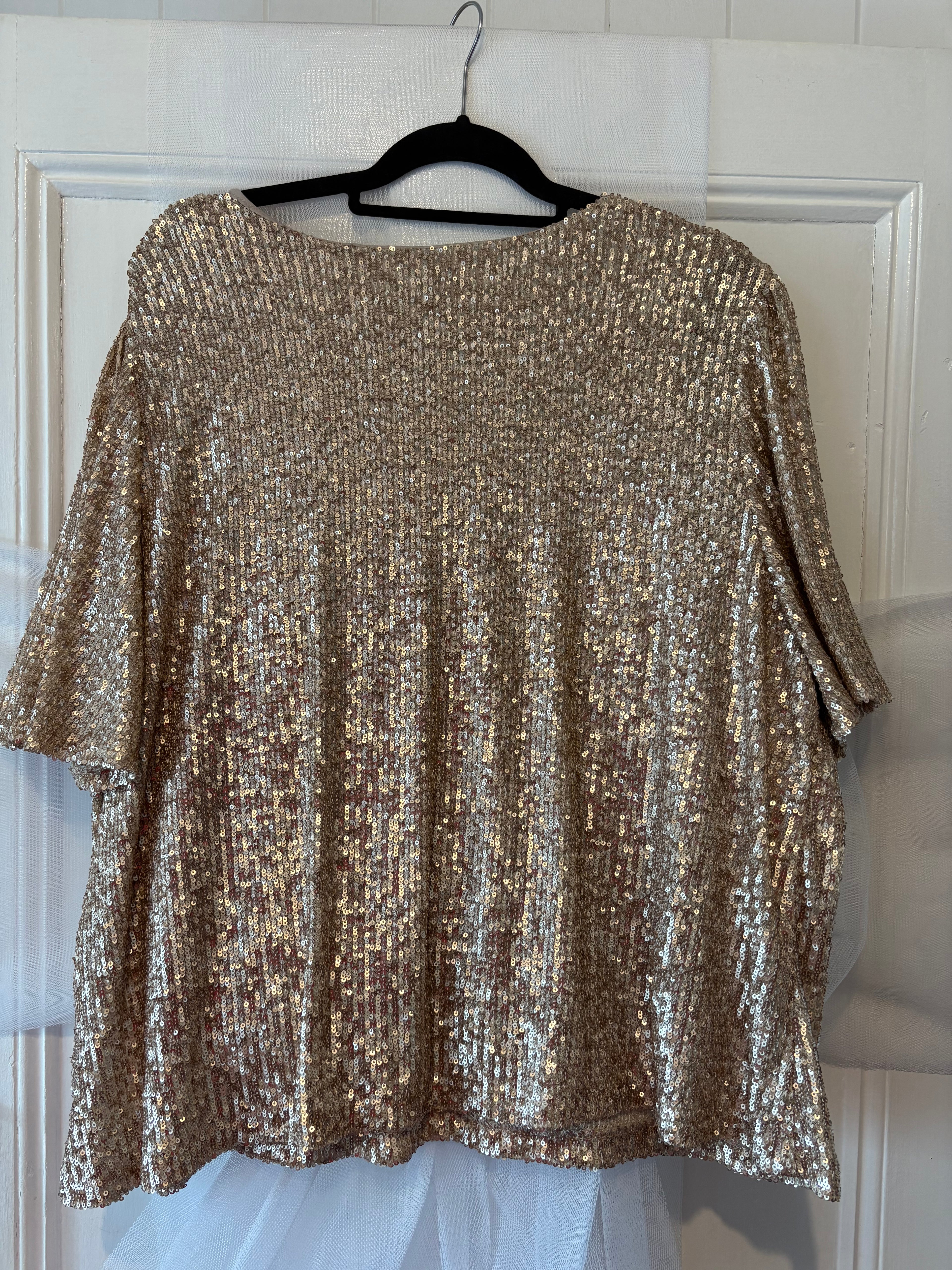 ✨ Styling You The Label “Erin” Two-Way Sequin Top | Size 18 ✨